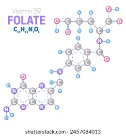 Ilustración de la estructura de la molécula de ácido fólico o vitamina B9