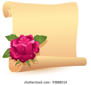 Folded parchment for your text and rose