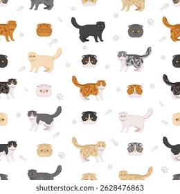 Foldex cat, Exotic Fold Cat clipart. All coat colors set.  All cat breeds characteristics infographic. Vector illustration
