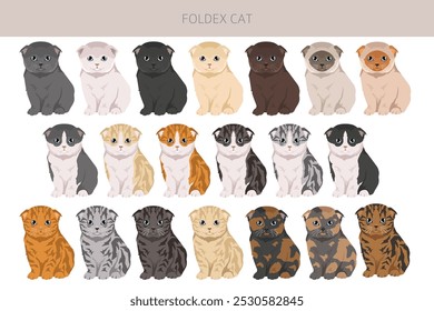 Foldex cat, Exotic Shorthair Cat clipart. All coat colors set.  All cat breeds characteristics infographic. Vector illustration