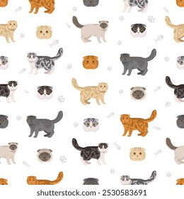 Foldex gato, Exótico Shorthair gato padrão sem emenda. Todas as cores do casaco definido.  Todas as raças de gato características infográfico. Ilustração vetorial