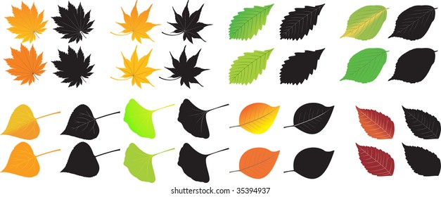 foliage