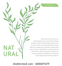 foliage abstract leaf, natural element for banner, poster, flyer or background. vector illustration. 
