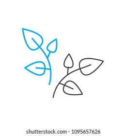 Foliage appearance linear icon concept. Foliage appearance line vector sign, symbol, illustration.