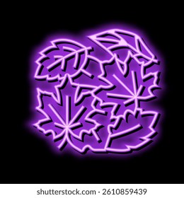foliage autumn neon light sign vector. foliage autumn illustration