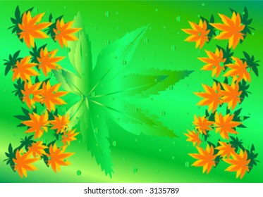 foliage background