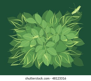 foliage background with grasshoppers