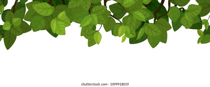 foliage background, foliage of trees. Background with foliage for your text, vector