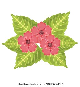 foliage of beautiful flowers design 