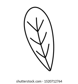 foliage botanical leaf icon line image