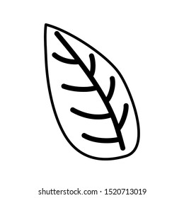 foliage botanical leaf icon line style