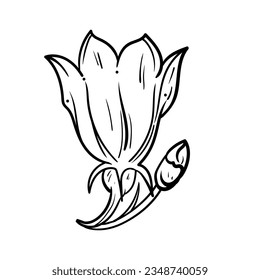 Foliage botanical simple floral plant line for beauty logo illustration art