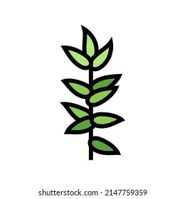 foliage branch color icon vector. foliage branch sign. isolated symbol illustration