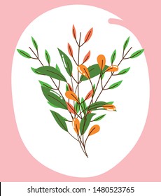 foliage branch leaves natural design