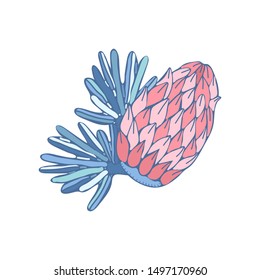 Foliage cone in vector isolated on white background. Hand drawn illustration in a cute vintage style. Element for Christmas design decoration.