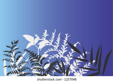 foliage drawing on a blue background