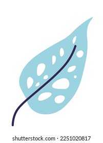 The foliage of exotic plants, isolated tropical leaves, and biodiversity. Leaf with spots, houseplants and botany. Vegetation and botanic decoration for banners and cards. Vector in flat style