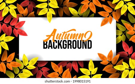 Foliage Fallen leaves, orange, yellow, red foliage. Border for fall season poster. Banner with autumn leaf in forest.