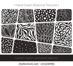 Foliage, floral vector textures. Botanical design for organic branding, wedding invitation, greeting card, fashion textile, floral prints. Hand drawn flower bloom, succulent, tree branch pattern.