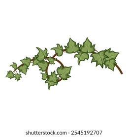 foliage green ivy cartoon. climbing vine, leaves growth, lush wall foliage green ivy sign. isolated symbol vector illustration