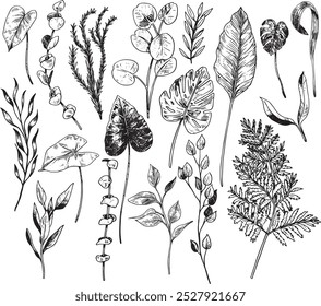 Foliage - hand drawn realistic vector leaves illustration