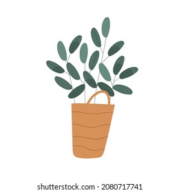 Foliage houseplant growing in wicker basket. Home plant with leaf in modern pot. Green leaves in flowerpot for trendy interior decoration. Flat vector illustration isolated on white background
