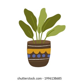 Foliage houseplant in pot. House plant with leaves growing in planter. Green decoration for home interior. Flat vector illustration of fresh leaf in flowerpot isolated on white background