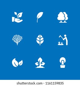 foliage icon. 9 foliage set with tree, marijuana plantation, plant and leaf vector icons for web and mobile app