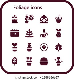  foliage icon set. 16 filled foliage icons. Simple modern icons about  - Plant, Acorn, Saint Patrick, Fern, Bulrush, Leaf