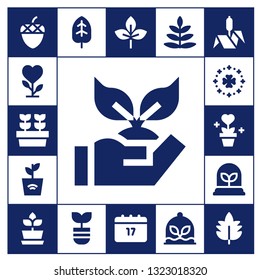 foliage icon set. 17 filled foliage icons.  Collection Of - Acorn, Plant, Plants, Planting, Saint Patrick, Leaf, Fern, Bulrush