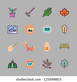 foliage icon set. vector set about branch, forest, bonsai icon and red panda icons set.