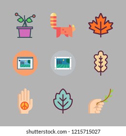 foliage icon set. vector set about oak leaf, image, branch and palm icons set.