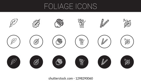 foliage icons set. Collection of foliage with leaf, oak leaf, acorn, birch, decorative. Editable and scalable foliage icons.
