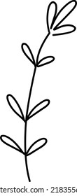 Foliage Illustration, Leaves, Leaf Illustration. Hand-drawn doodles illustration.
Line art