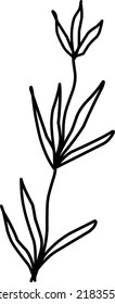 Foliage Illustration, Leaves, Leaf Illustration. Hand-drawn doodles illustration.
Line art