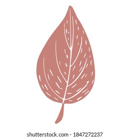 Foliage isolated on white background. Autumn botanical sketch hand drawn in style doodle vector illustration