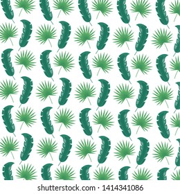 foliage leaves greenery herbs botanical background vector illustration