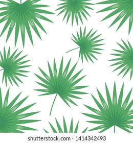 foliage leaves greenery herbs botanical background vector illustration
