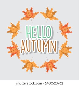 foliage leaves hello autumn season