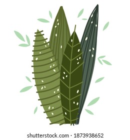 foliage leaves nature greenery frond design vector illustration