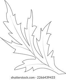 Foliage. Leaves of plants. Ieaf that fell from a tree. Design element.