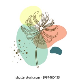 Dibujo artístico de línea de follaje con forma abstracta. Resumen Diseño de planta para impresión, cubierta, papel tapizado,