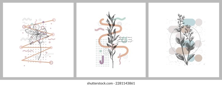 Foliage line art drawing with geometric shape. Hand drawn flowers and geometric art. Set of vector illustration. 