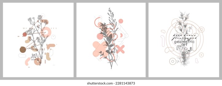 Foliage line art drawing with geometric shape. Hand drawn flowers and geometric art. Set of vector illustration. 