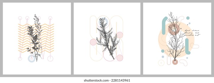 Foliage line art drawing with geometric shape. Hand drawn flowers and geometric art. Set of vector illustration. 