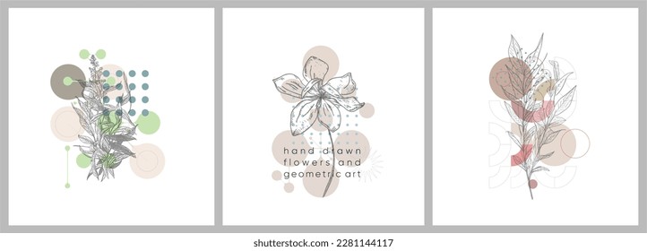 Foliage line art drawing with geometric shape. Hand drawn flowers and geometric art. Set of vector illustration. 