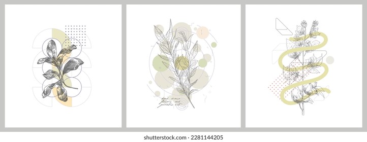 Foliage line art drawing with geometric shape. Hand drawn flowers and geometric art. Set of vector illustration. 