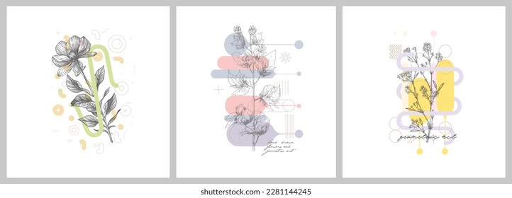 Foliage line art drawing with geometric shape. Hand drawn flowers and geometric art. Set of vector illustration. 