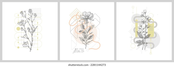 Foliage line art drawing with geometric shape. Hand drawn flowers and geometric art. Set of vector illustration. 