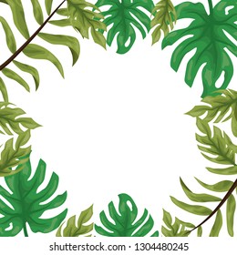 foliage nature leaves